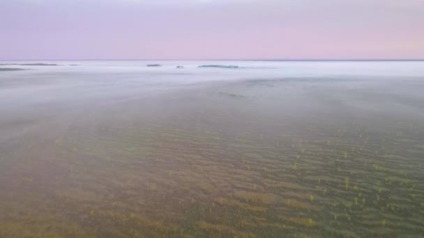 Vlucht Boven Het Moeras Ochtend — Stockvideo