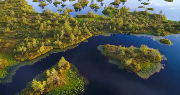 Lago Con Islas Pantano Yelnya Belarús — Vídeos de Stock