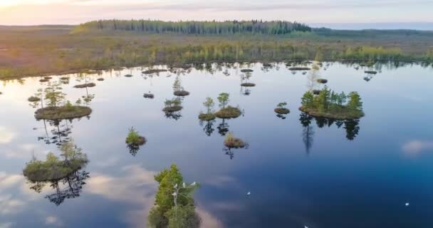 Lac Avec Îles Dans Marais Yelnya Biélorussie — Video