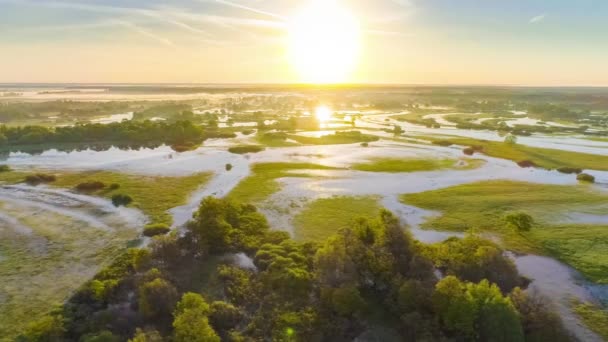 春天的普里皮亚特河的洪泛区 — 图库视频影像