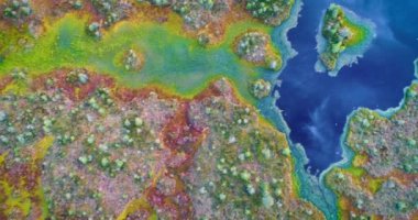 Eşsiz bir doğal alanın hava görüntüleri - Yelnya bataklığı (Belarus))