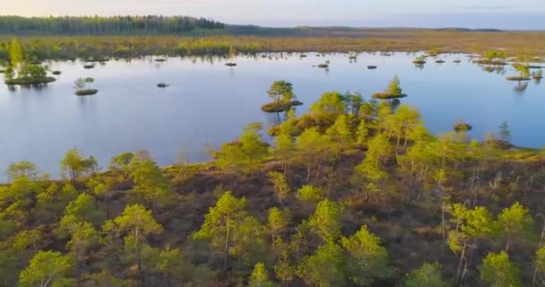 Lago Com Ilhas Pântano Yelnya Bielorrússia — Vídeo de Stock