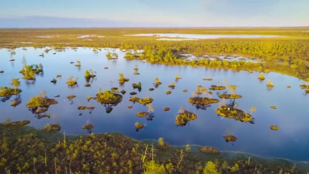 白俄罗斯Yelnya沼泽地上有岛屿的湖泊 — 图库视频影像