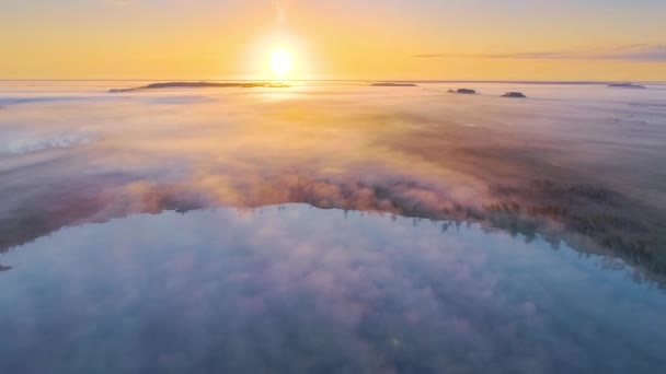 Mattina Nebbiosa Alla Palude Yelnya — Video Stock