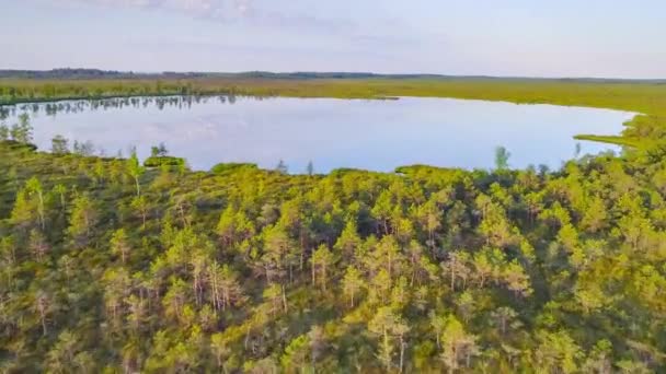Images aériennes d'une zone naturelle unique - le marais Yelnya (Biélorussie)