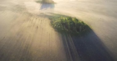 Eşsiz bir doğal alanın hava görüntüleri - Yelnya bataklığı (Belarus))