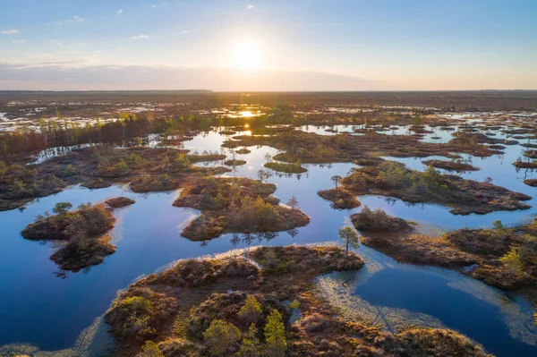 Morgen Einzigartigen Jelnya Moor Weißrussland — Stockfoto