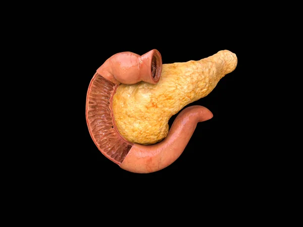 Pancreas Anatomia Umana Sfondo Nero Infografica Illustrazione Medica Degli Organi — Foto Stock