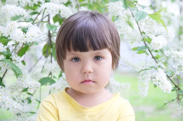 Retrato Menina Primavera Anos Gentilmente Sorrindo Criança Criança Frente Flores — Fotografia de Stock