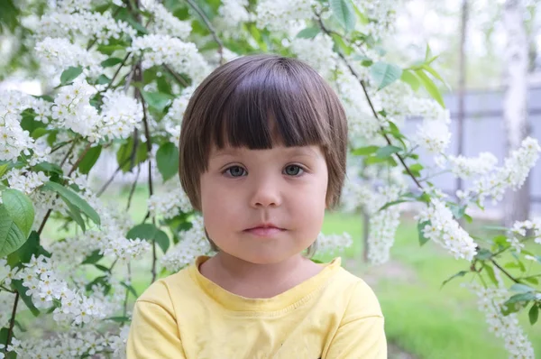 Retrato Menina Primavera Anos Gentilmente Sorrindo Criança Criança Frente Flores — Fotografia de Stock