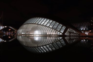 Valencia Sanat ve Bilim Şehri.