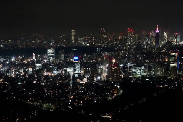 Vista aérea nocturna de Tokio — Foto de Stock