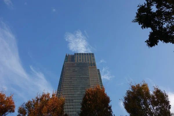 Mening van de stad van Tokyo — Stockfoto