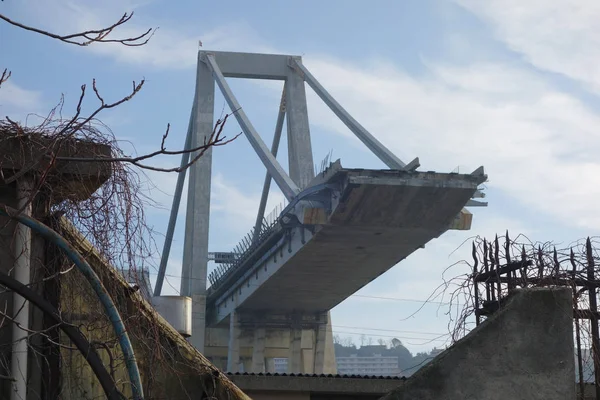 Cenova 'da Ponte Morandi Köprüsü Harabeleri