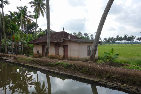 Réseau Lagunes Saumâtres Lacs Canaux Rivières Kerala Inde — Photo