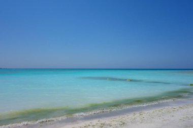 Spiaggia Bianca (çeviri: White Beach) Vada, Rosignano Marittimo, İtalya