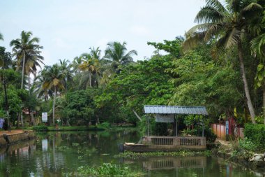 KERALA, Hindistan - CIRCA ECTOBER 2017: Tuzlu su gölleri, göller, kanallar ve nehirlerden oluşan durgun bir ağ