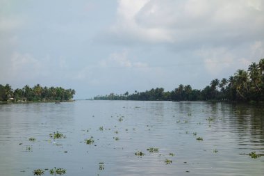 Hindistan, Kerala 'daki tuzlu su gölleri, göller, kanallar ve nehirlerden oluşan durgun bir ağ.