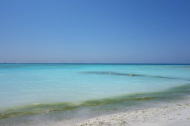 Spiaggia Bianca (çeviri: White Beach) Vada, Rosignano Marittimo, İtalya