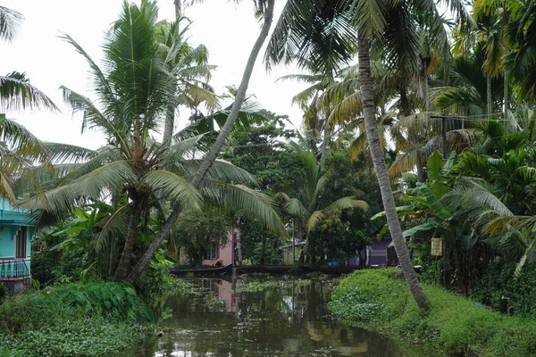 Réseau Lagunes Saumâtres Lacs Canaux Rivières Kerala Inde — Photo