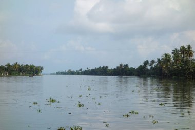 Hindistan, Kerala 'daki tuzlu su gölleri, göller, kanallar ve nehirlerden oluşan durgun bir ağ.