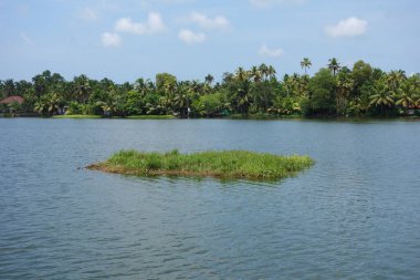 Hindistan, Kerala 'daki tuzlu su gölleri, göller, kanallar ve nehirlerden oluşan durgun bir ağ.