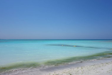 Spiaggia Bianca (çeviri: White Beach) Vada, Rosignano Marittimo, İtalya