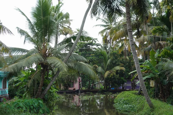 Réseau Lagunes Saumâtres Lacs Canaux Rivières Kerala Inde — Photo