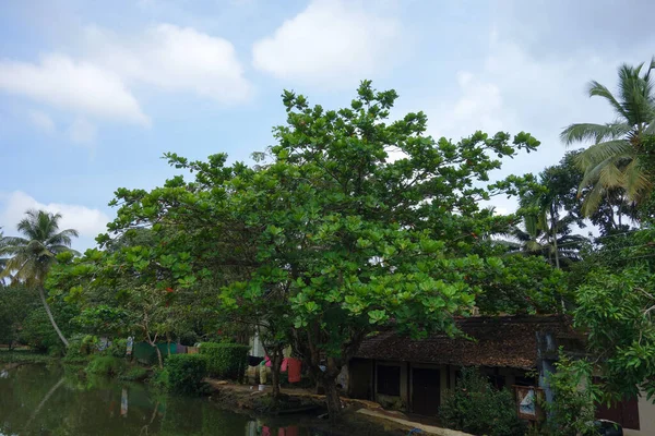 Kerala India Circa Oktober 2017 Backwaters Nätverk Bräckta Laguner Sjöar — Stockfoto