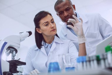 Ciddi bilim adamları bir örneği '