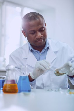 İlham Afro-Amerikan biyolog tohumları ile çalışma