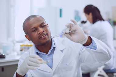 Bir testi tohumları ile yaptıkları yetenekli genetiğinin ilham