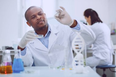 Yetenekli genetiğinin bir testi tohumları ile yaptıkları belirlenen