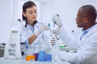 Bir test edin taşıyan deneyimli bilim adamları