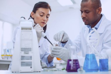 Akıllı bilim adamları taşıyan bir test edin