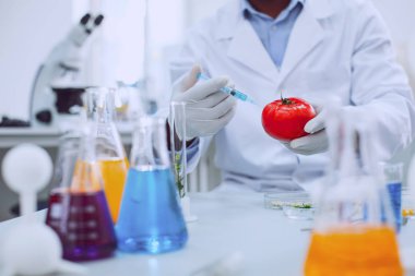 Vasıflı bilgili bilim adamı test domates