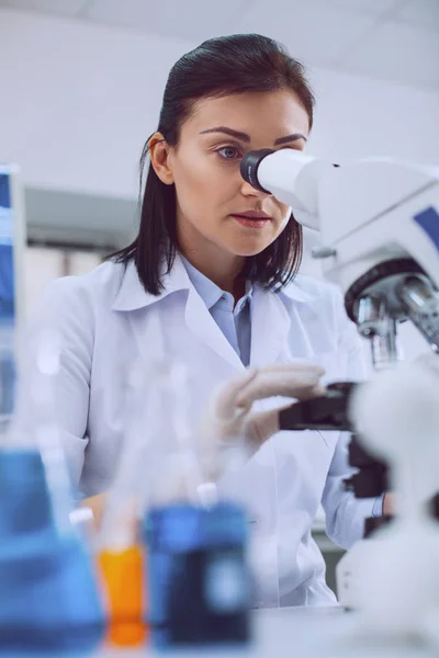 Biólogo inteligente trabalhando no laboratório — Fotografia de Stock