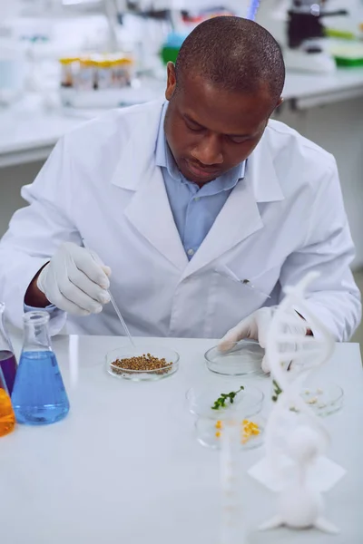 Έμπειροι αφροαμερικάνικης βιολόγος εργάζεται με τους σπόρους — Φωτογραφία Αρχείου