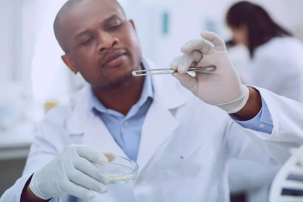 Geconcentreerd geschoolde bioengineer doen een test met zaden — Stockfoto