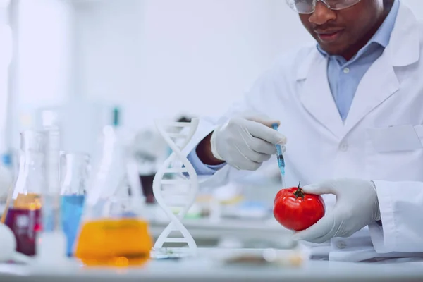 濃縮トマトを変更する熟練した生物学者 — ストック写真