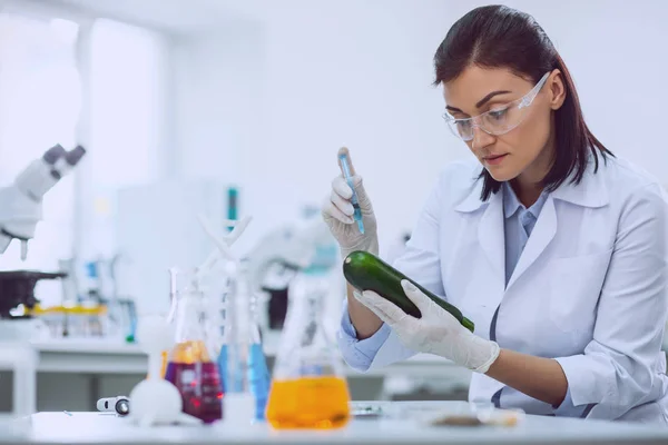 Inspired skilled researcher testing a marrow squash — Stock Photo, Image