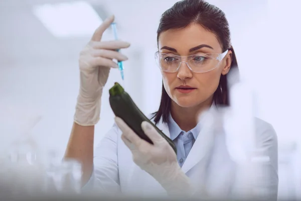 Concentrated young researcher testing a marrow squash — Stock Photo, Image