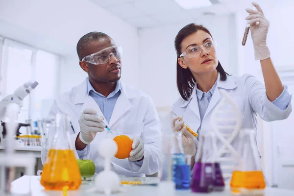 Concentrated researchers modifying vegetables in the lab — Stock Photo, Image