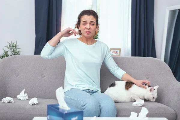 Young lady cat owner being awfully allergic to cat fur — Stock Photo, Image