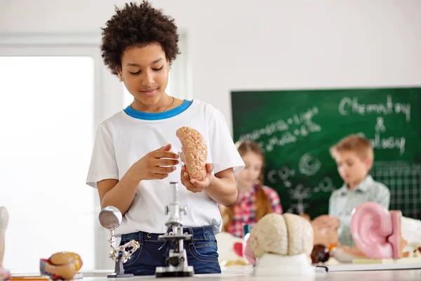Smart young boy holding a brain model — Stock Photo, Image