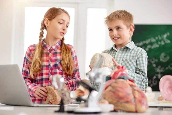 Tarea Escolar Deleitado Agradable Pupilos Pie Juntos Mientras Que Hacer —  Fotos de Stock