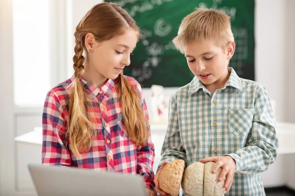 Inteligente agradable niños mirando el cerebro humano —  Fotos de Stock