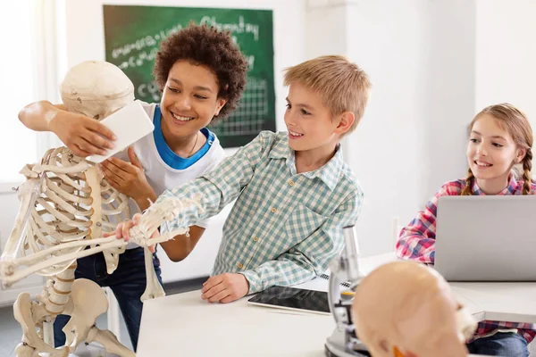 Joyful delighted boys playing — Stock Photo, Image