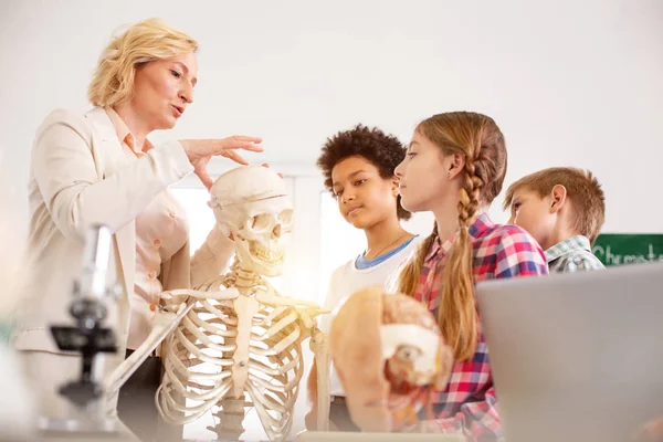 Alvorlig smart lærer peger på kraniet - Stock-foto