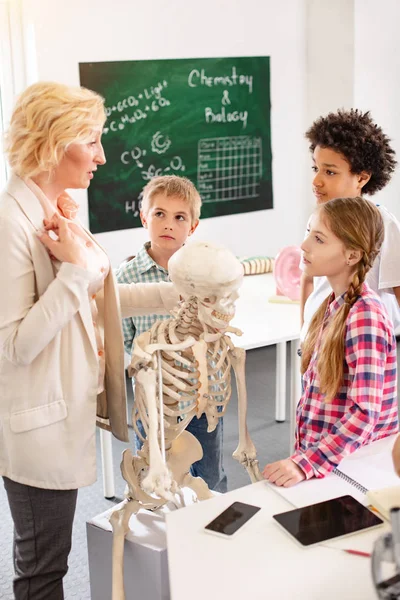 Poważne Nauczycielka stojący w pobliżu szkielet — Zdjęcie stockowe